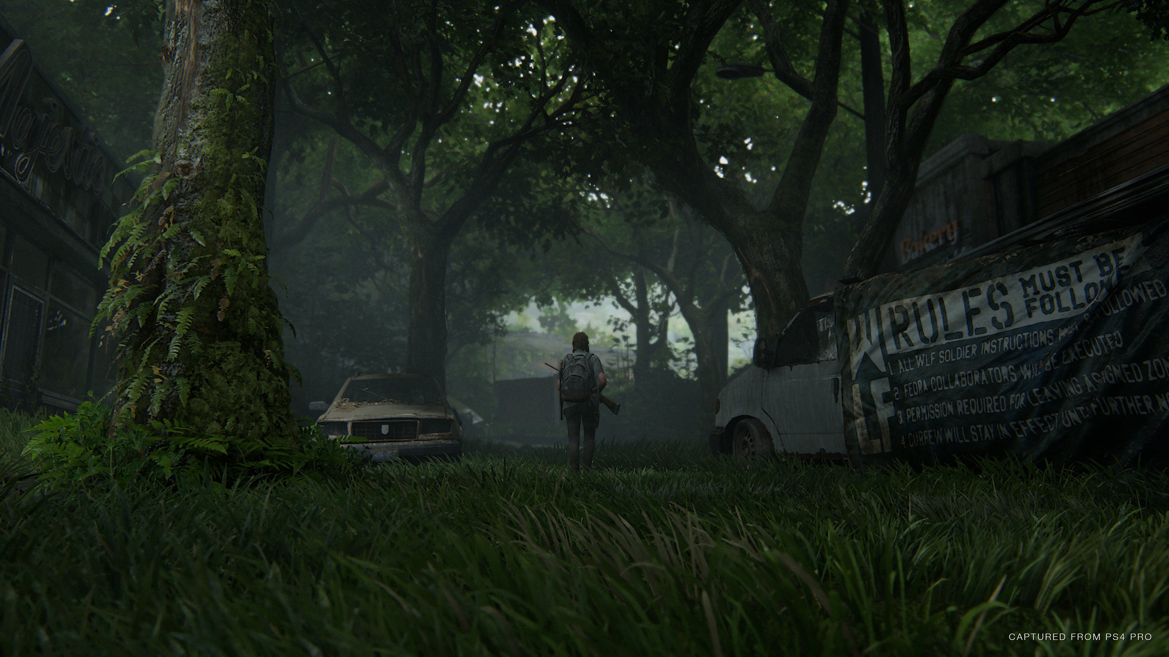 The Last of Us: Parte II - Imagen 22
